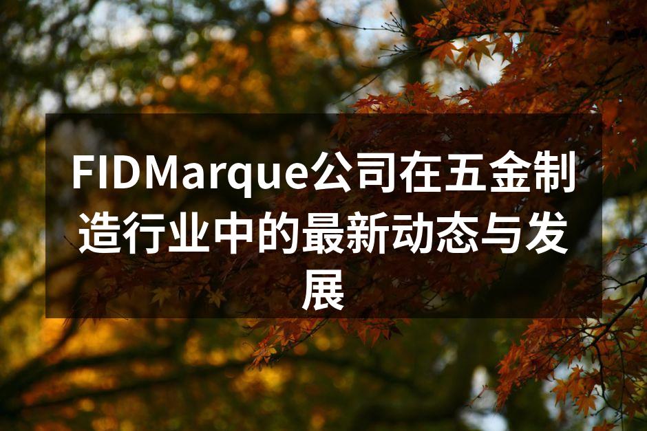 FIDMarque公司在五金制造行业中的最新动态与发展