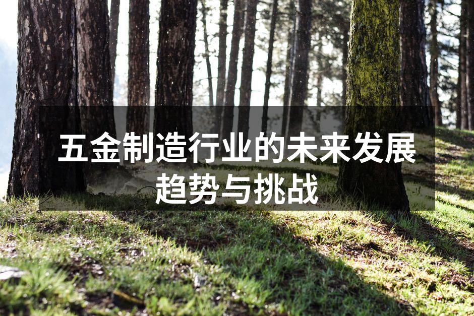 五金制造行业的未来发展趋势与挑战